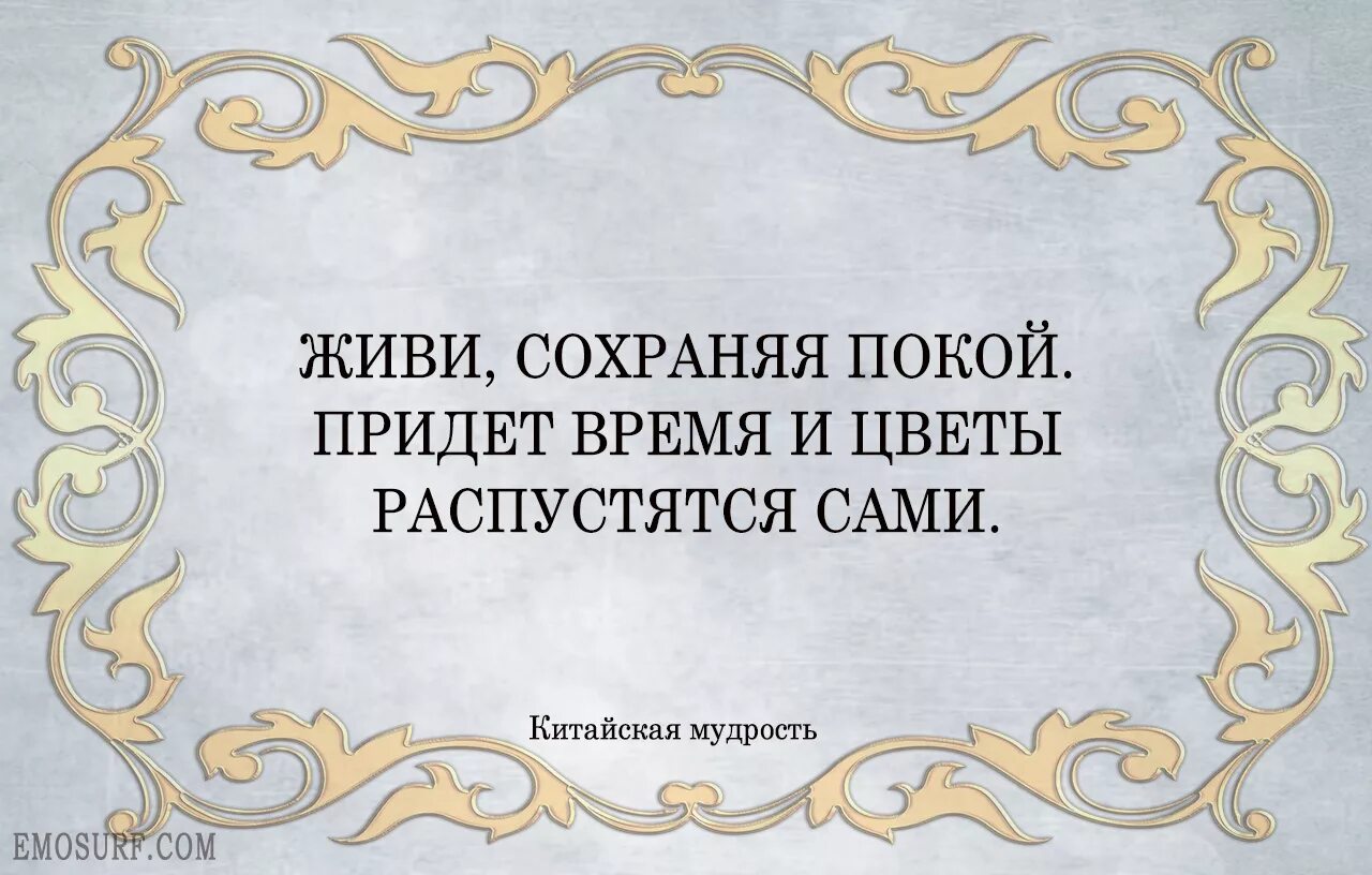 Высказывания китайских мудрецов. Китай высказывание. Китайская мудрость цитаты. Цитаты китайских мудрецов. Китай высказывание.