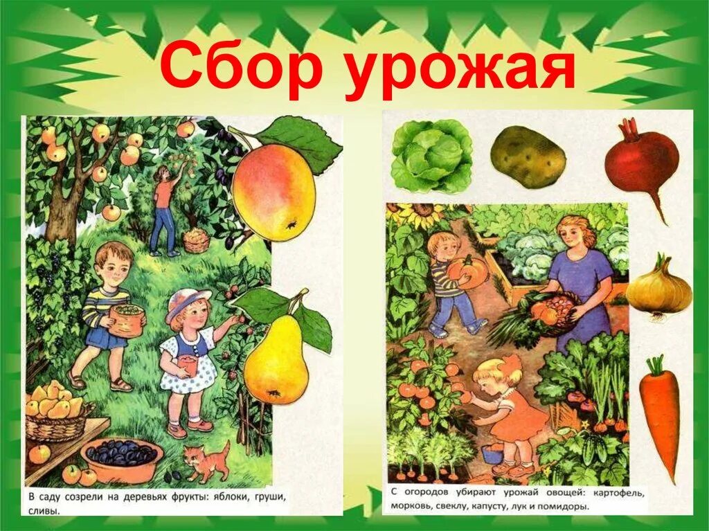 овощи задания для дошкольников. лексическая тема фрукты задания для детей. конспект занятий овощи фрукты. фрукты задания для дошкольников. овощи и фрукты в старшей группе.