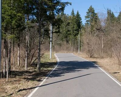 Дороги зеленограда