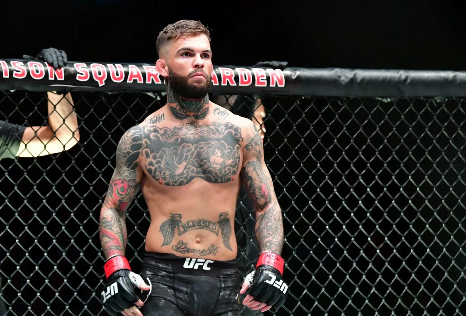 Гарбрандт. Боец Cody Garbrandt. Коди Гарбрандт Роб фонт. Боец ММА Коди Гарбрандт. Коди Гарбрандт с поясом юфс.