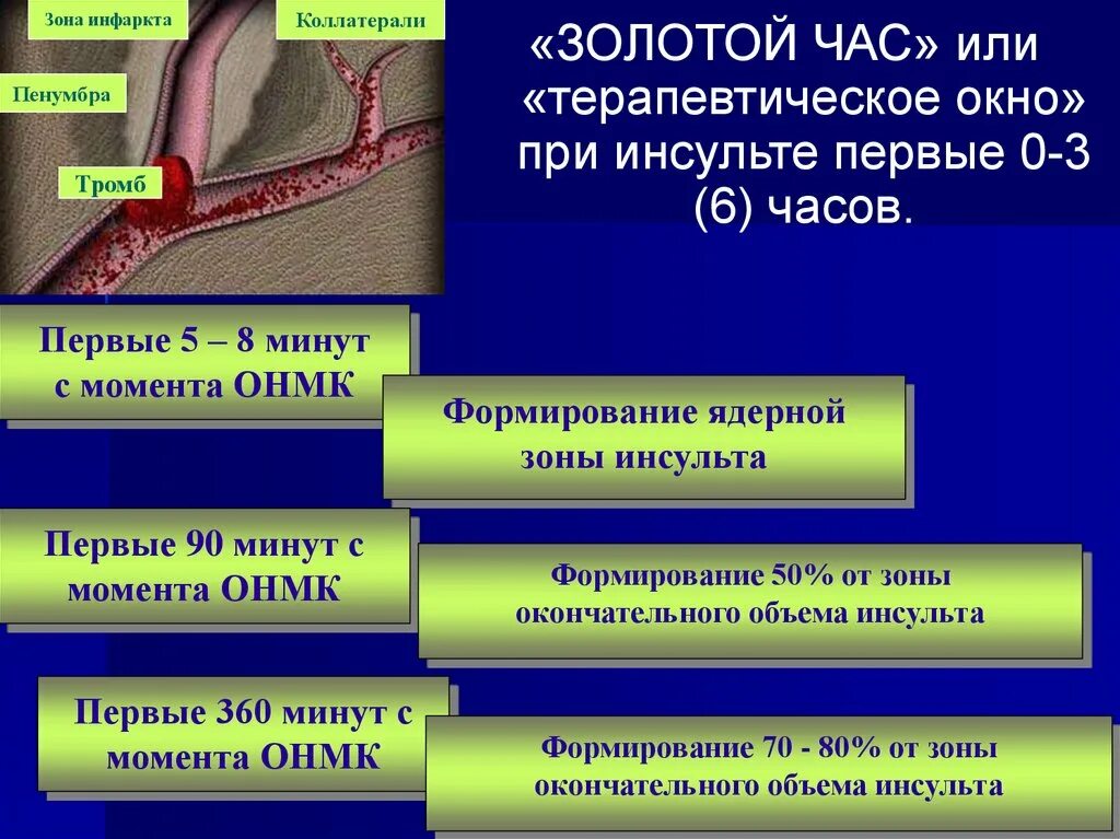 Тромб после инсульта. Терапевтическое окно при ОНМК. Терапевтическое окно ишемического инсульта. Терапевтическое окно инсульт. Терапевтическое окно при ишемическом инсульте.