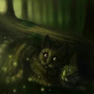 Коты воители лес