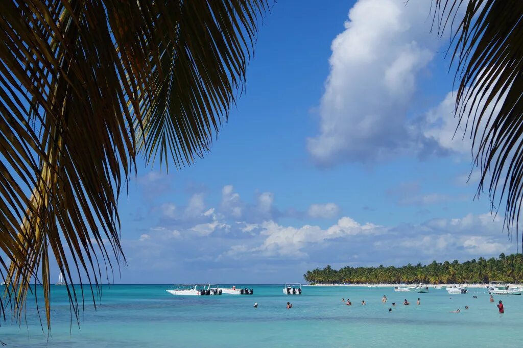 Доминикана океан пальмы. Доминикана море. Карибское море доминикана. Доминикана море. Остров саона доминикана.