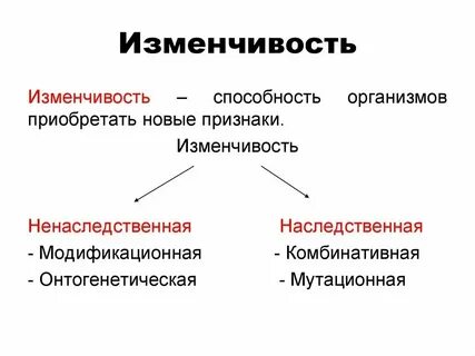 Какова роль наследственности в развитии