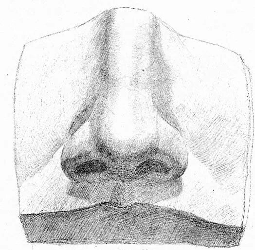 Нос снизу. Слепок носа Давида. Обрубовка носа Давида. Нос Давида гипс. Слепок носа Давида рисунок.