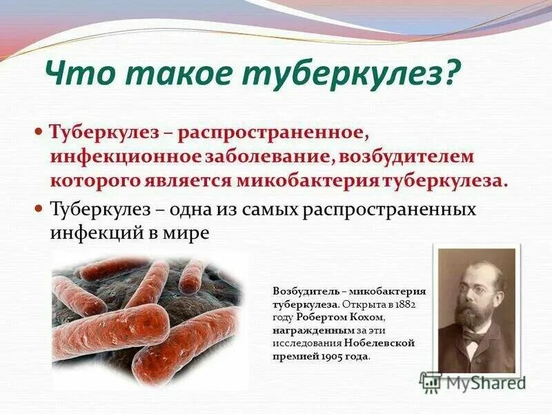 Туберкулез заболевание вызываемые бактериями. Заболевание туберкулез. туберкулез заболевание кратко. туберкулёз забалевания.