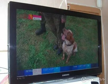 Телевизор самсунг двоится изображение