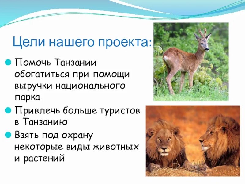 Цель проекта создание национального парка в танзании Презентация Создание национального парка в Танзании скачать бесплатно pptx