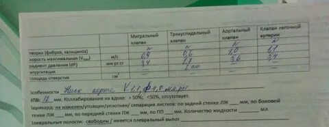 Регургитация трикуспидального клапана 1