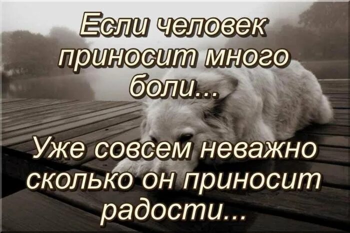 Много боли. Если человек приносит много боли. Если человек приносит много боли уже. Если человек приносит много боли уже совсем. Стихи если человек приносит много боли.