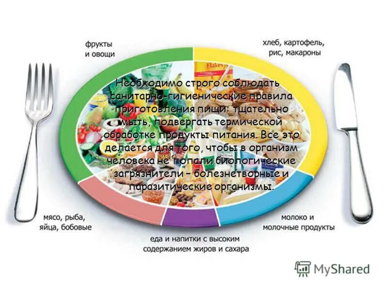 При приготовлении блюд необходимо строго соблюдать. Памятка по санитарии и гигиене на кухне. Санитарно гигиенические нормы на кухне. Технолог общественного питания. Требование санитарных норм.