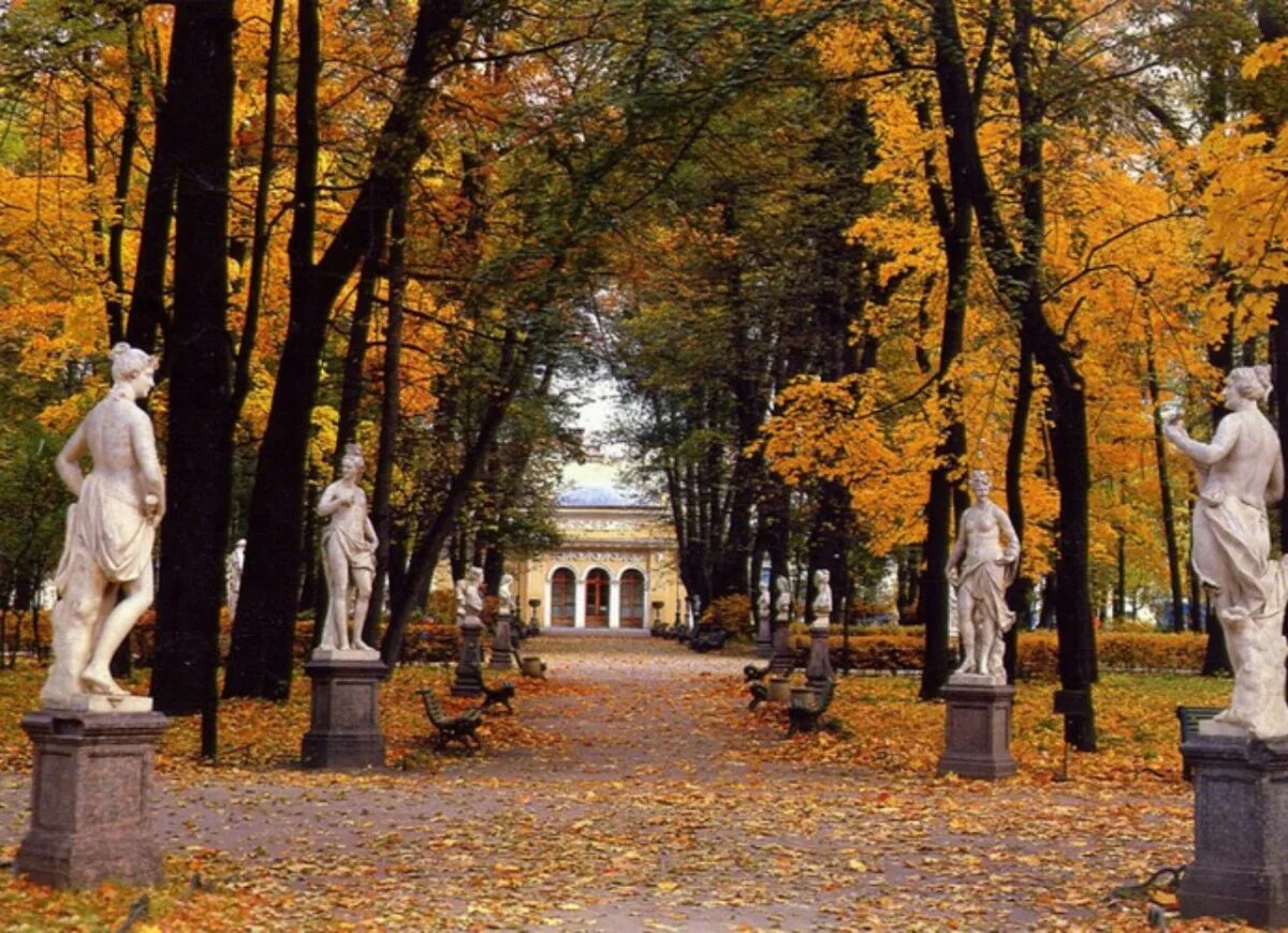 Погулять пушкине. Летний сад в Санкт-Петербурге. Летний сад в Санкт-Петербурге осень. Питер летний сад осенью. Летний сад СПБ осенью.