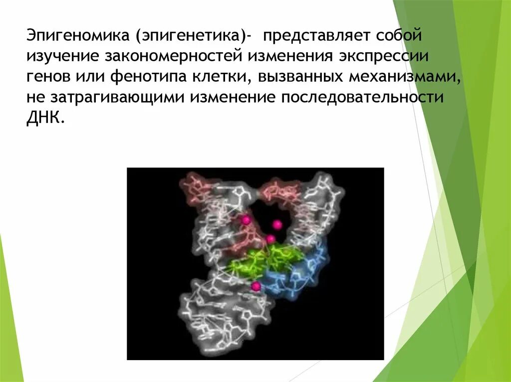 Эпигенетика. Эпигенетика это простыми словами. Эпигенетика это простыми словами. Эпигенетика. Эпигенетические изменения днк.