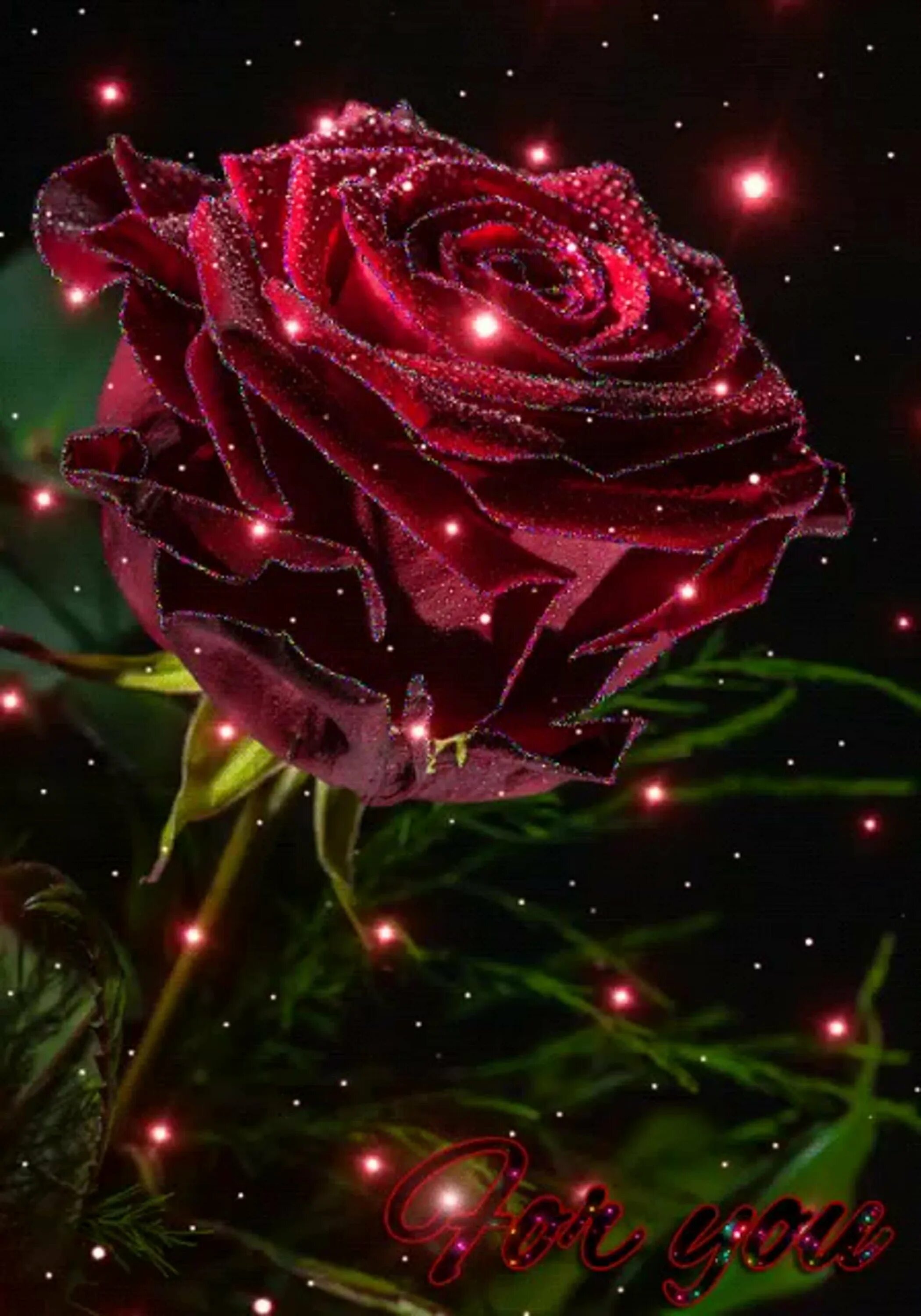 Красивый цветок картинка анимация. Красивые блестящие цветы. Красивые розы. Цветы с блестками. Красивые сверкающие букеты.