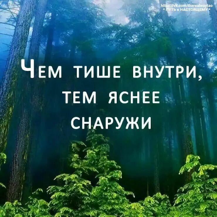 Тихую успокаивающую