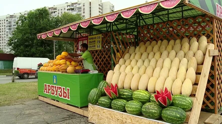 Палатка с арбузами. Дыни киоск. Дыни киоск. Дыни киоск. Палатки для арбузов.