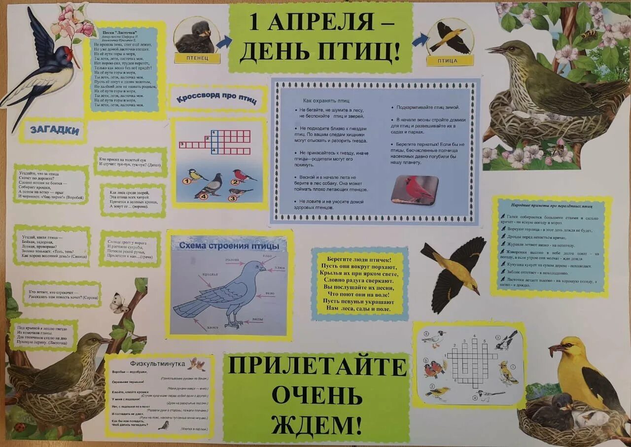 Газета ко Дню птиц. Плакат на день птиц. Газета ко Дню птиц в школе. Стенгазета ко Дню птиц.