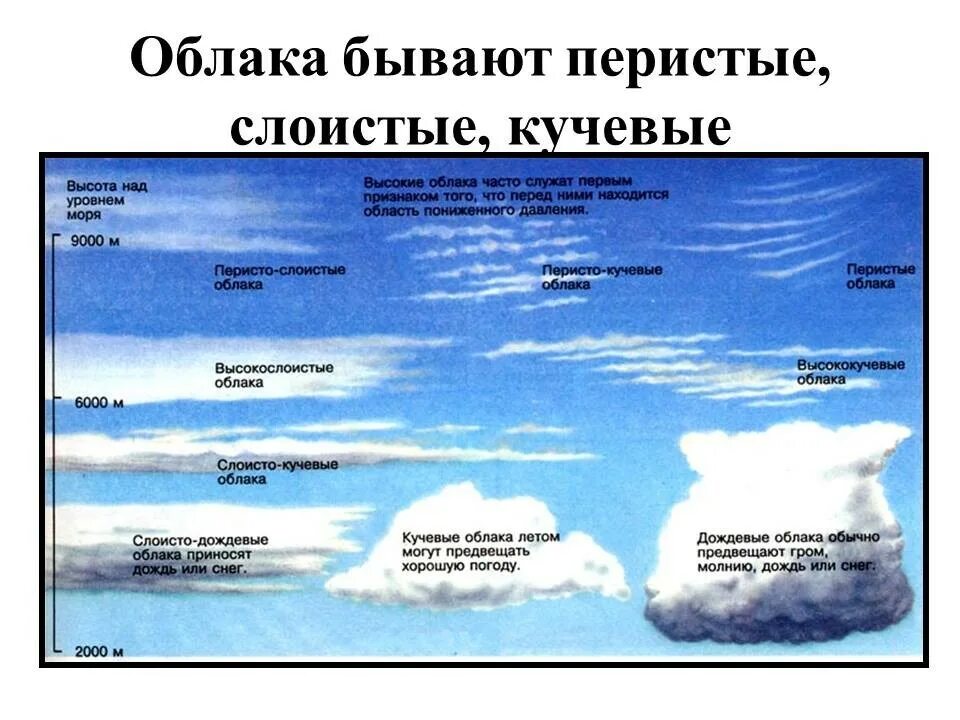 Перисто-Слоистые облака высота образования. Перистые и Кучевые облака отличия. Облака бывают Кучевые перистые и. Типы облаков перистые Кучевые Слоистые.