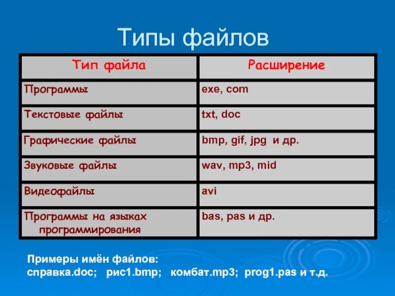 Виды файлов. Типы расширения файлов. Текстовый файл типа exe. 3 Типа файлов.