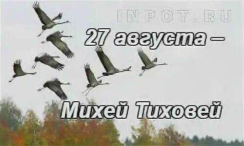 День Михея 27 августа. Гиф 27 августа Михей Тиховей. 27 Августа пророка Михея. 27 Августа картинки. По г 27 августа