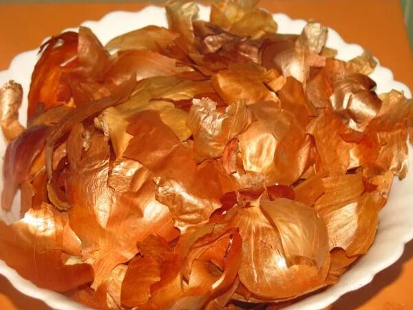 Луковая шелуха для комнатных. Лечимся луковой шелухой. настойка из луковой шелухи для волос. декор вазы луковой шелухой. шелуха лука и мед.