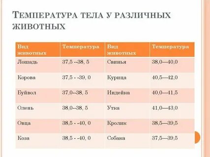 35 1 нормальная температура