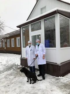 Ветеринарный участковый