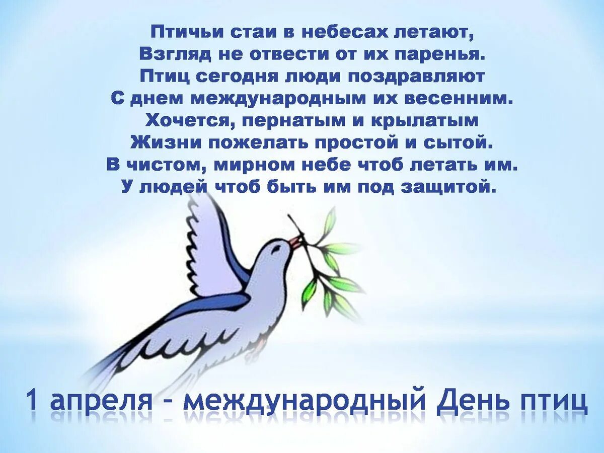 О дне птиц 1 апреля. День птиц. международный день птиц. международный праздник птиц. с днем птиц поздравления.