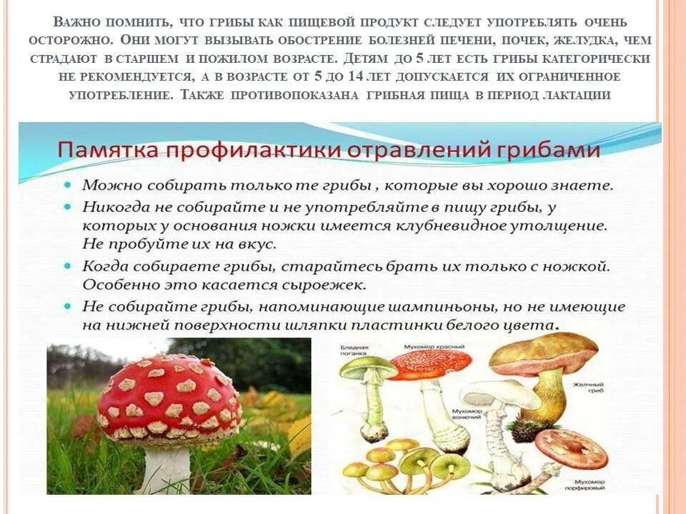 Основные признаки ядовитых грибов. Отравление ядовитыми грибами. Памятка отравление грибами. Осторожно грибы. Отравление ядовитых грибов.