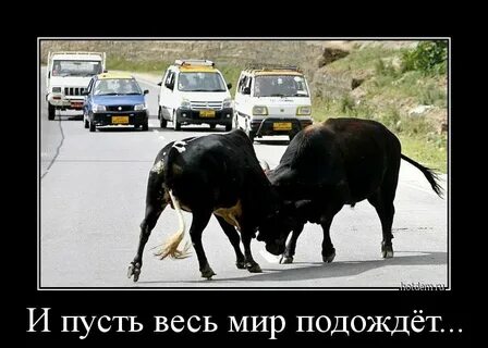 И весь мир подождет откуда