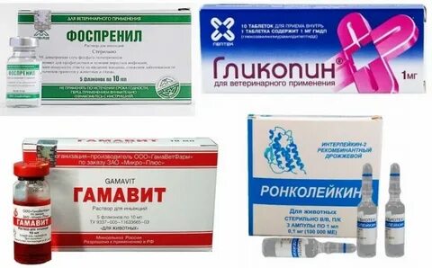 Вакцины иммуномодуляторы
