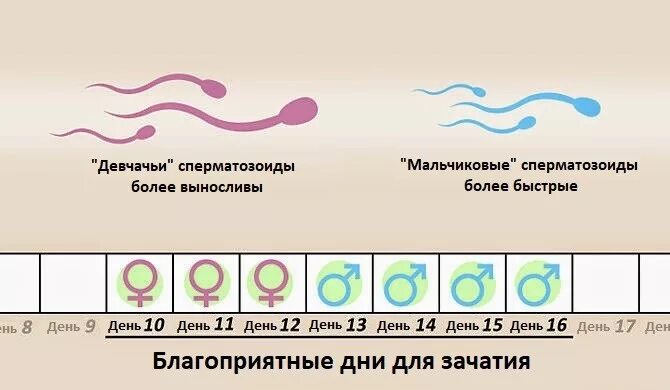 Позы для зачатия. Позы для зачати ребёнка. Удобные позы для зачатия ребёнка. Самая удачная поза для зачатия ребёнка