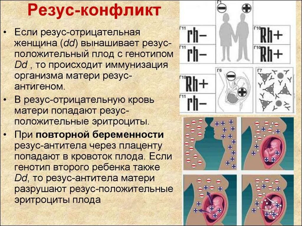 Форум резус отрицательных. Резус-конфликт при беременности матери и плода. Генотип крови с отрицательным резус фактором. Конфликтные резус-факторы крови. Резус конфликт беременность.