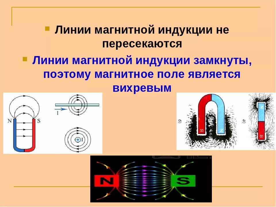 Виды линий магнитной индукции. Магнит линии магнитной индукции. Магнитные линии индукции. Линии магнитной индукции в магните направлены. Линии магнитной индукции и линии магнитного поля это.