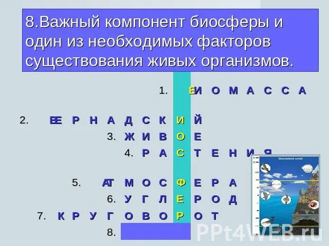 Биосфера кроссворд 15 слов. Кроссворд на тему Биосфера Живая оболочка земли. Кроссворд по биосфере. Кроссворд Биосфера Живая оболочка земли. Биосфера кроссворд с ответами.