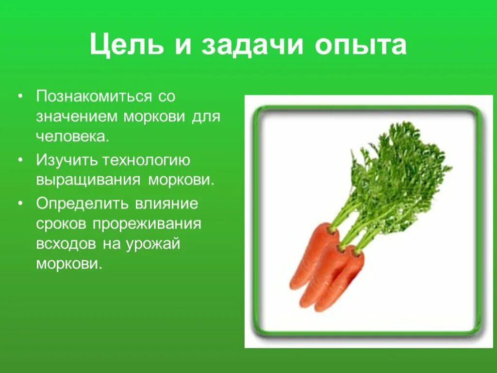 Опыт с морковкой 2 класс в воде