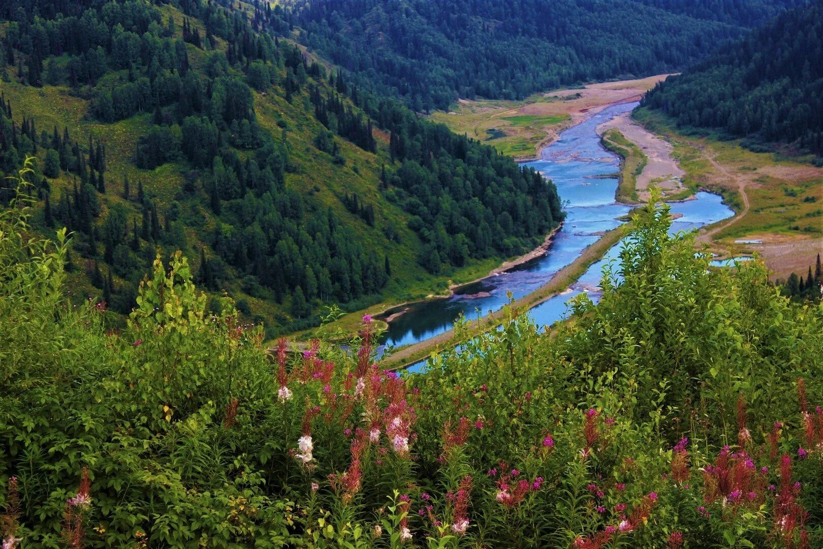 реки приполярного урала. уса (приток печоры) реки республики коми. в р ус. восстание уса 1666. в р ус.