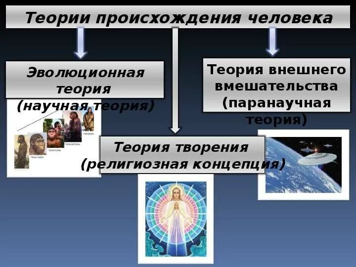 Три версии происхождения человека. История происхождения человека. Научная теория происхождения человека. Основная теория происхождения человека. Теории происхождения человека кратко.