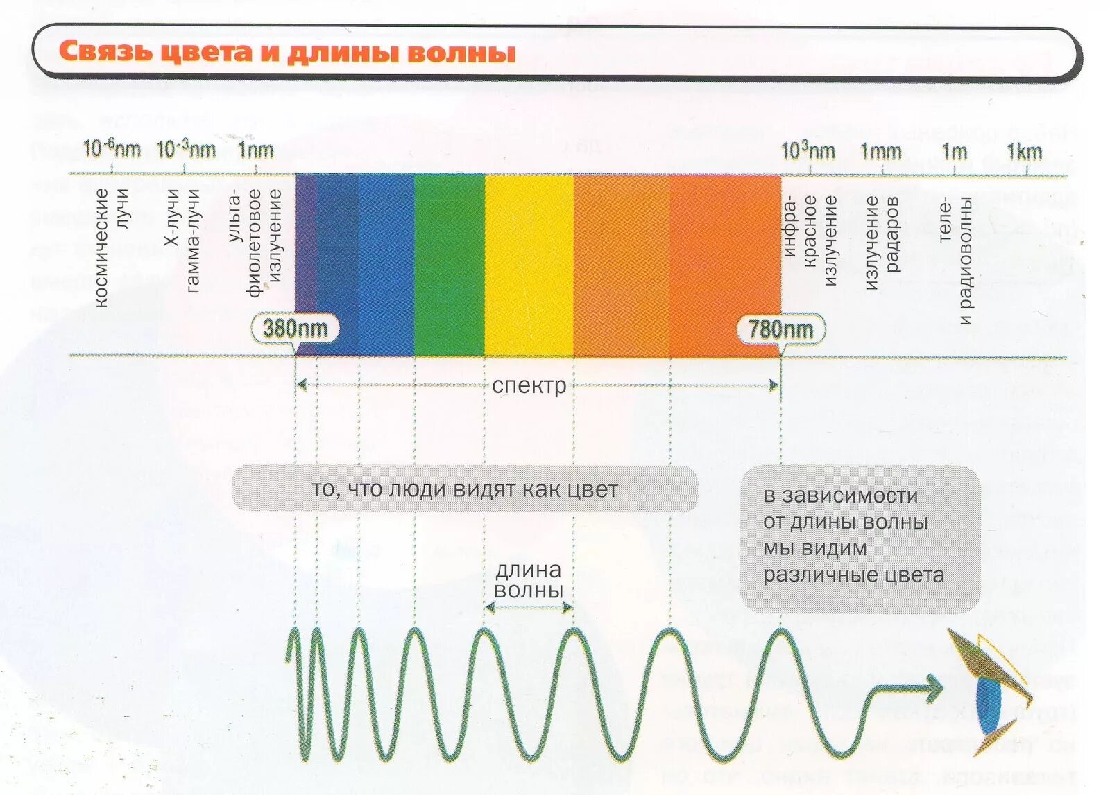 Частота желтой волны. Длины волн цветов. Длина волны цвета. Длина световой волны. Частоты разных цветов.