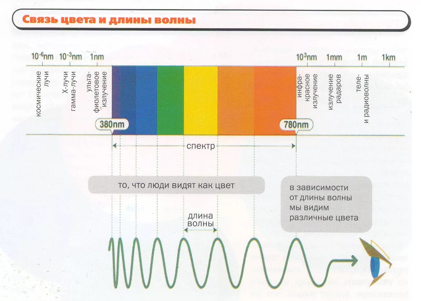 Длины волн цветов. Длина волны цвета. Длина световой волны. Частоты разных цветов.