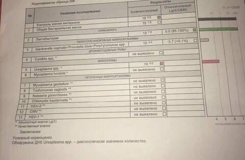 Enterobacteriaceae норма в мазке