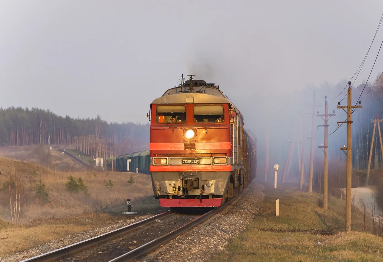 2тэ116-443. Поезд 2тэ116. 2тэ116 1740. Псковские железные дороги Идрица.