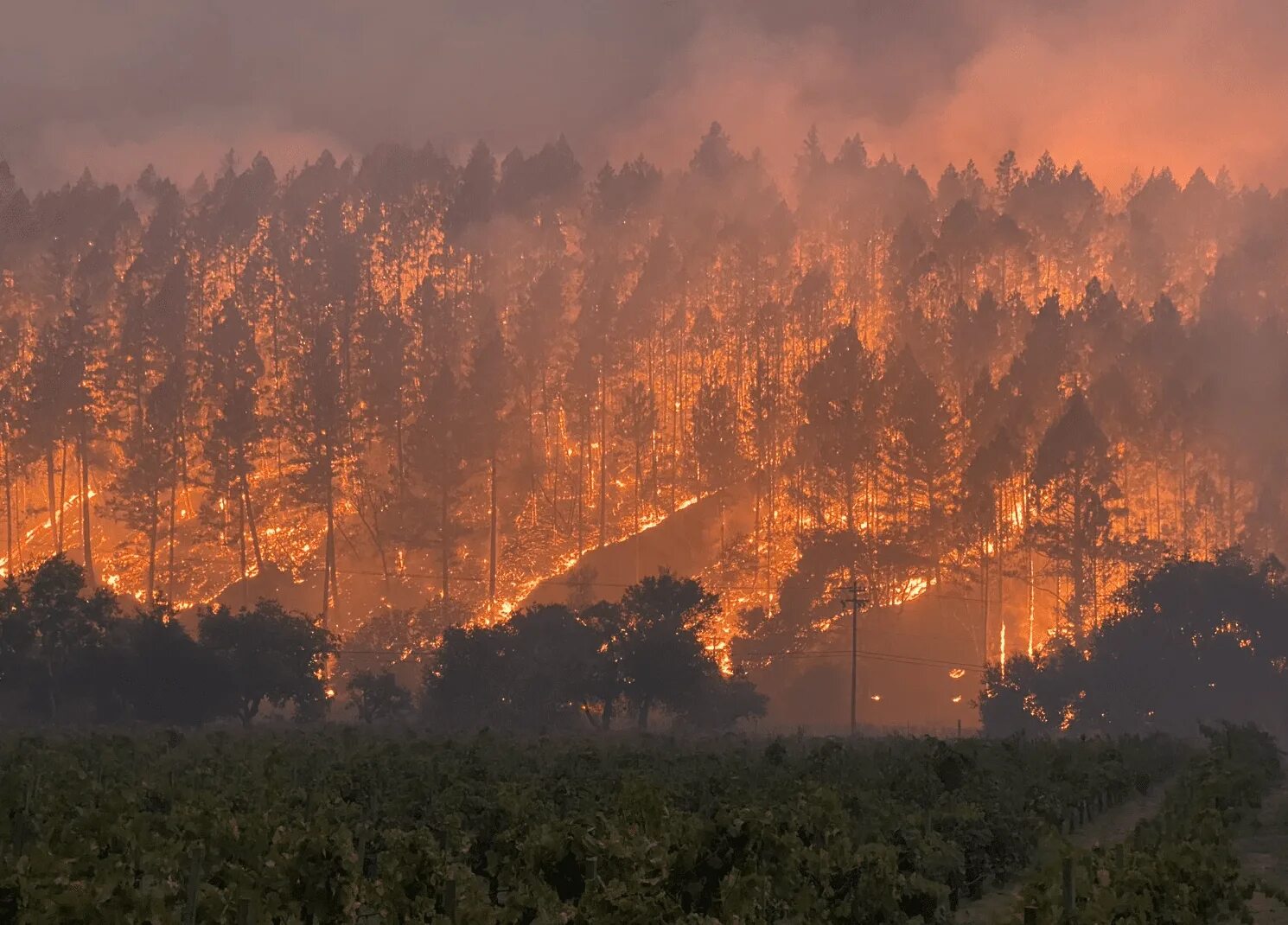 Лесные пожары в Калифорнии 2020. США Лесной пожар в Калифорнии. Лесные пожары в Калифорнии, США (2017, 2018). Лесные пожары в Калифорнии 2015.