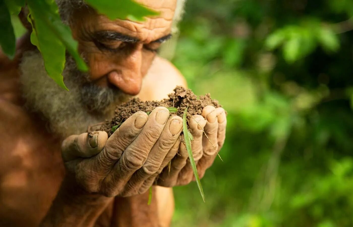 Австралопитеки зденека буриана. Зденек буриан кроманьонцы. Женщина улыбается. Человек и природа. Происхождение человека антропогенез эволюция приматов.