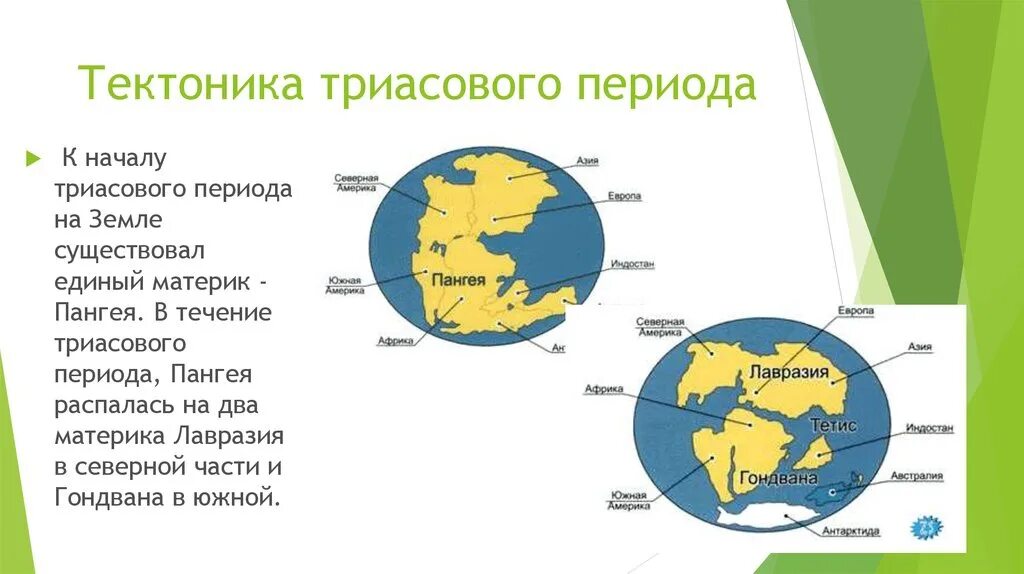 Карта Триасового периода Пангея. Пангея Лавразия и Гондвана. Триасовый период тектоника. Триасовый период карта. Название материка происходит