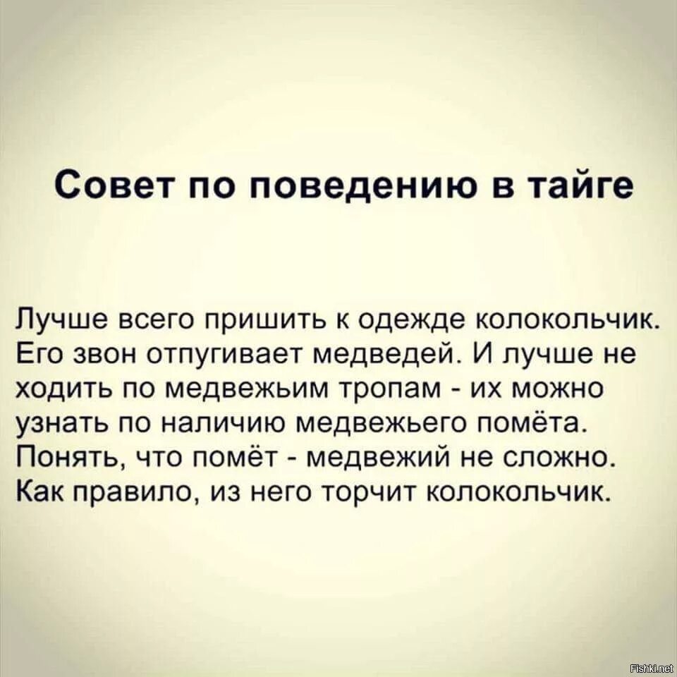 Колокольчик от медведя анекдот. "васюткино озеро". Как вести себя в тайге. Поведение в тайге. Памятка заблудившемуся в лесу.