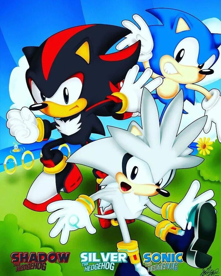 Shadow googles