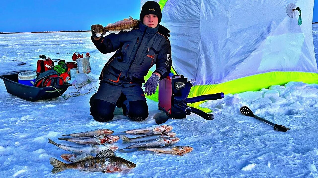 Судак в тесте рецепт. Тест судак. Рыбалка на судака. Тест судак. Судак 5 кг.