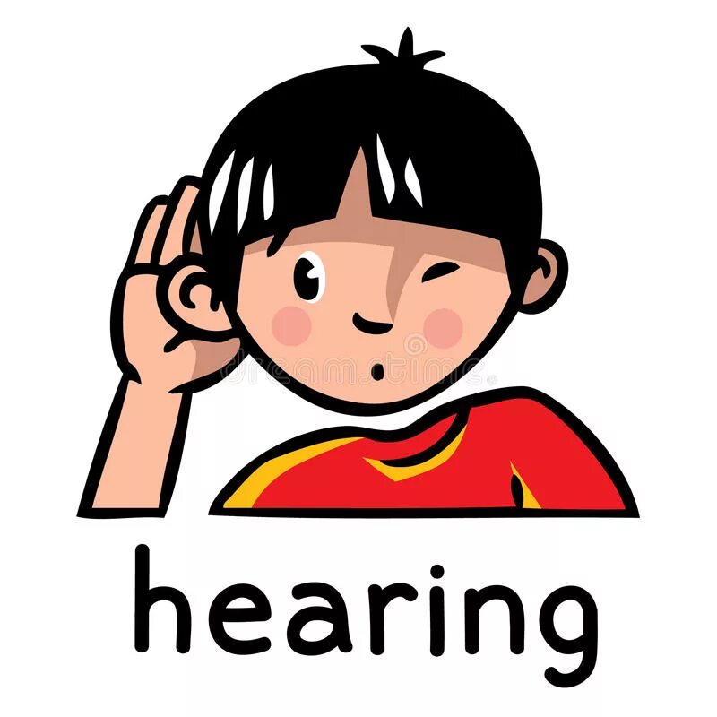 Hear картинка. Hear картинка для детей. The sense of hearing. Картинки hear for Kids. Can u hear me