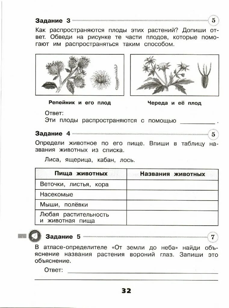 Окружающий мир 3 класс проверочные. Окружающий мир 3 класс проверочные работы. Контрольные класс окружающий мир. Плешаков окружающий мир проверочные работы. Проверочные работы 3 класс страница 62